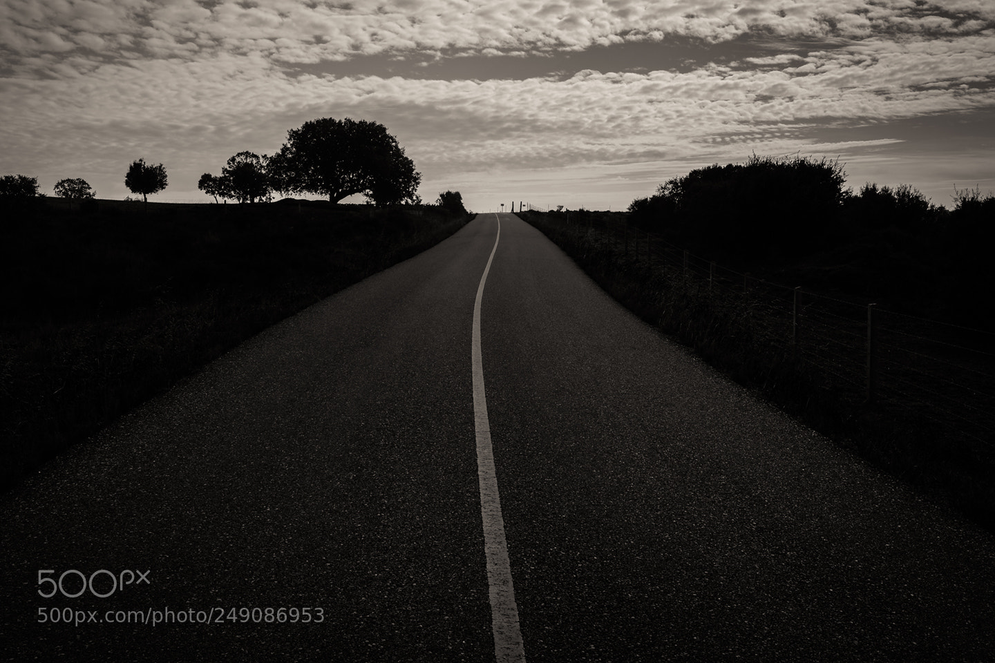 Fujifilm X-Pro2 sample photo. Carretera a la almendra photography