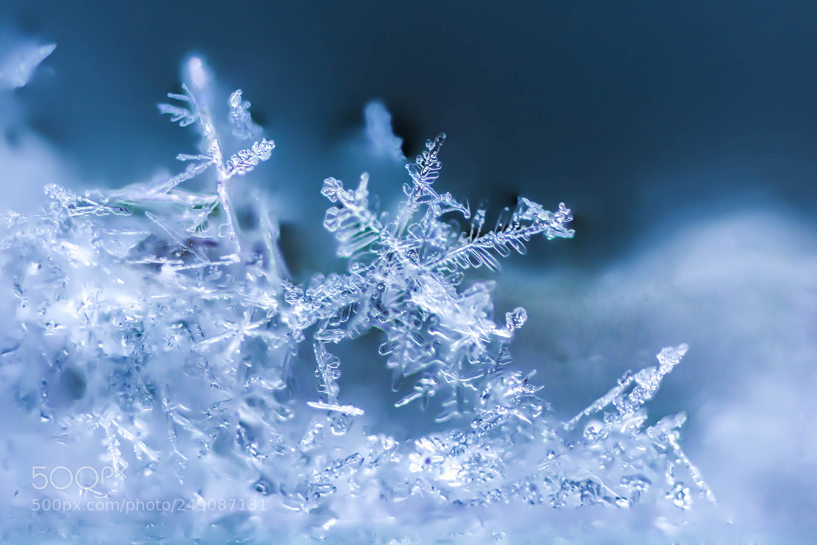 Nikon D7100 sample photo. Snow macro photography