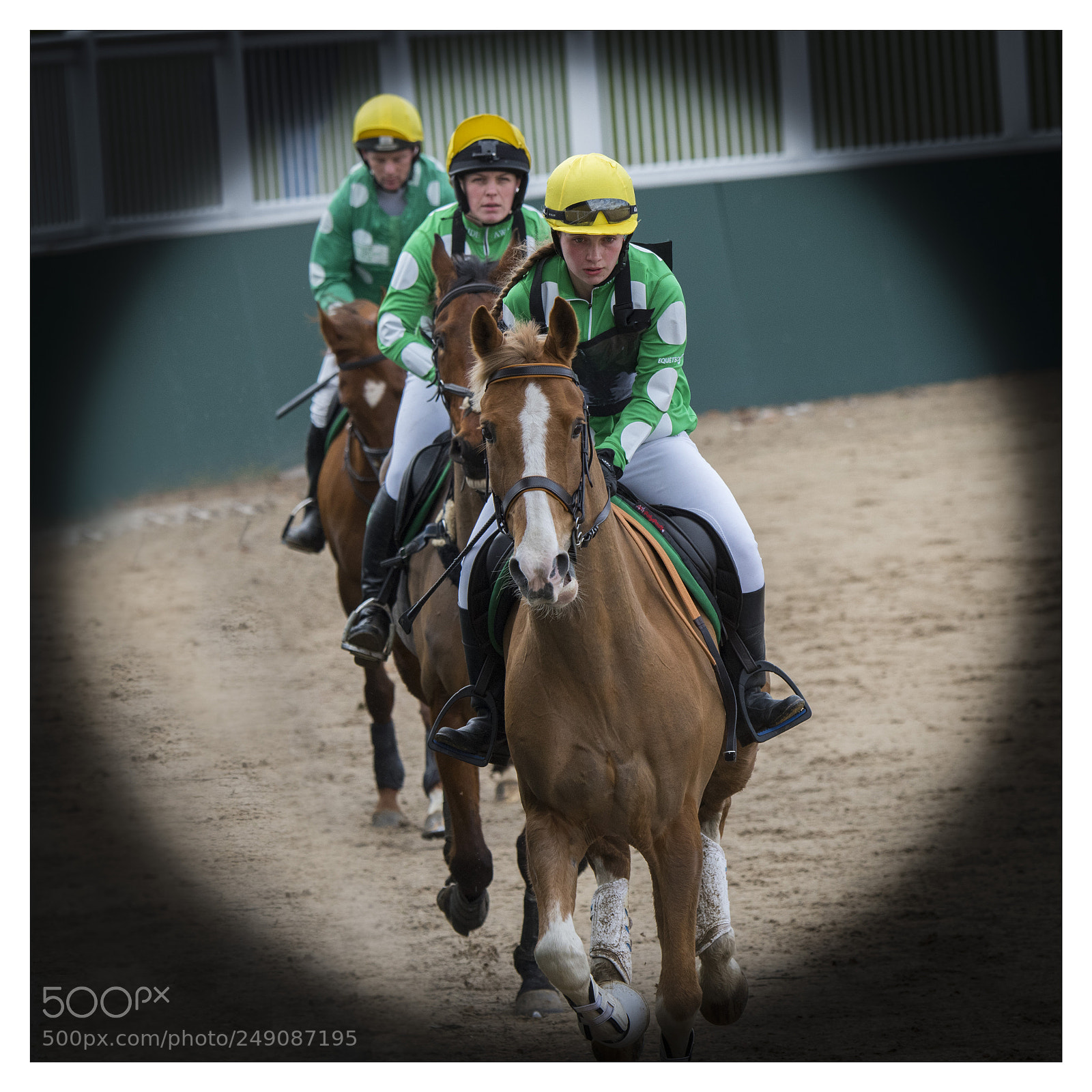 Nikon D810 sample photo. In the spotlight photography