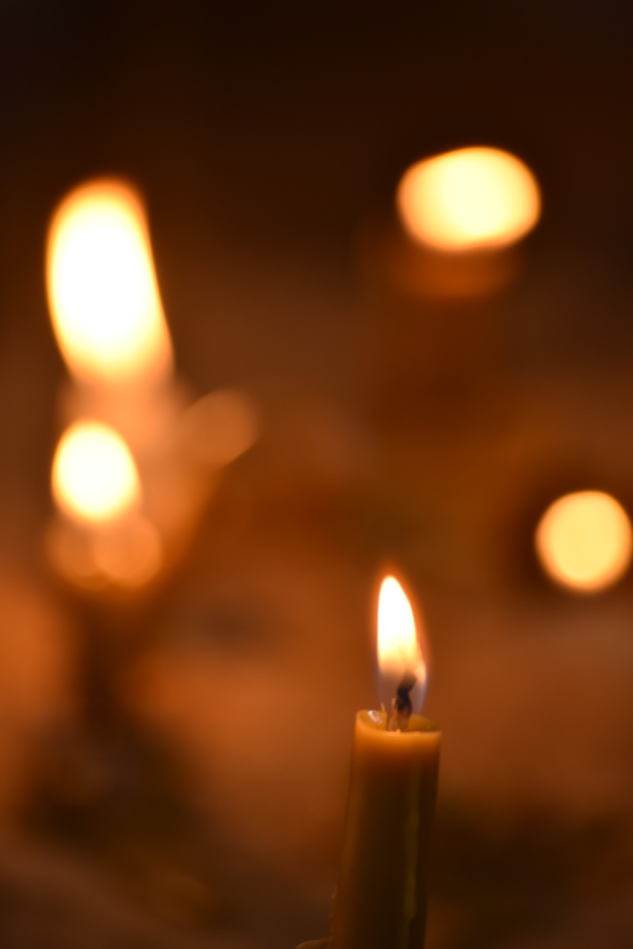 Nikon D5500 sample photo