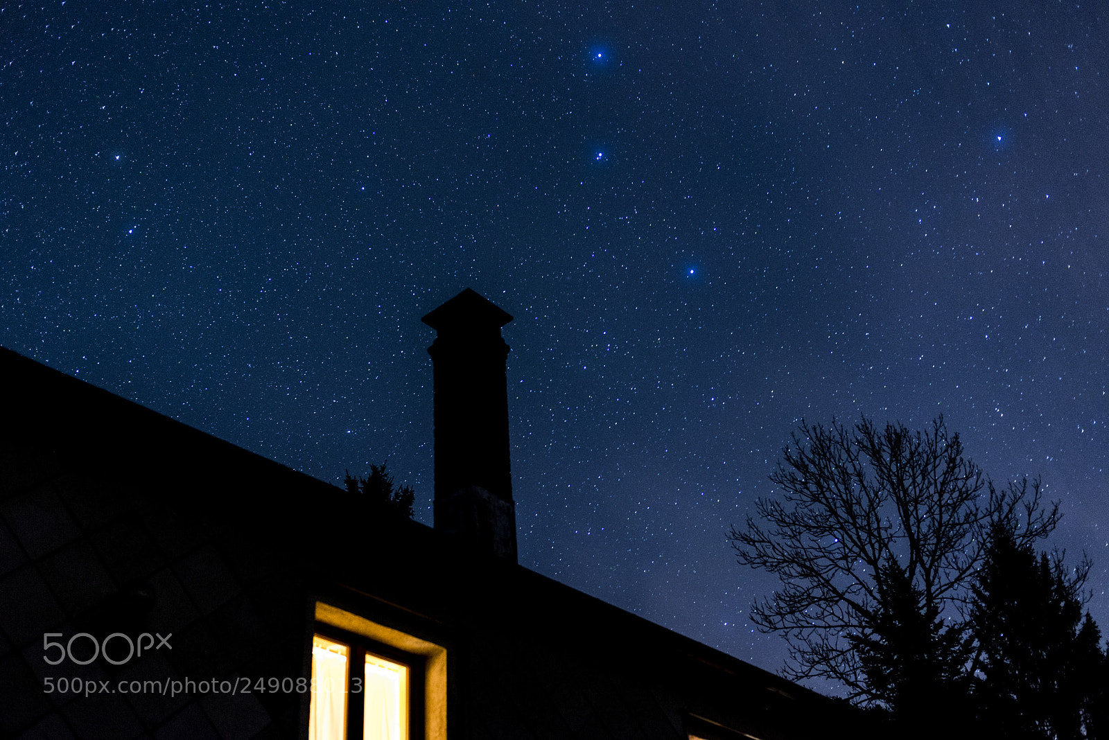 Nikon D610 sample photo. Night at vosges photography