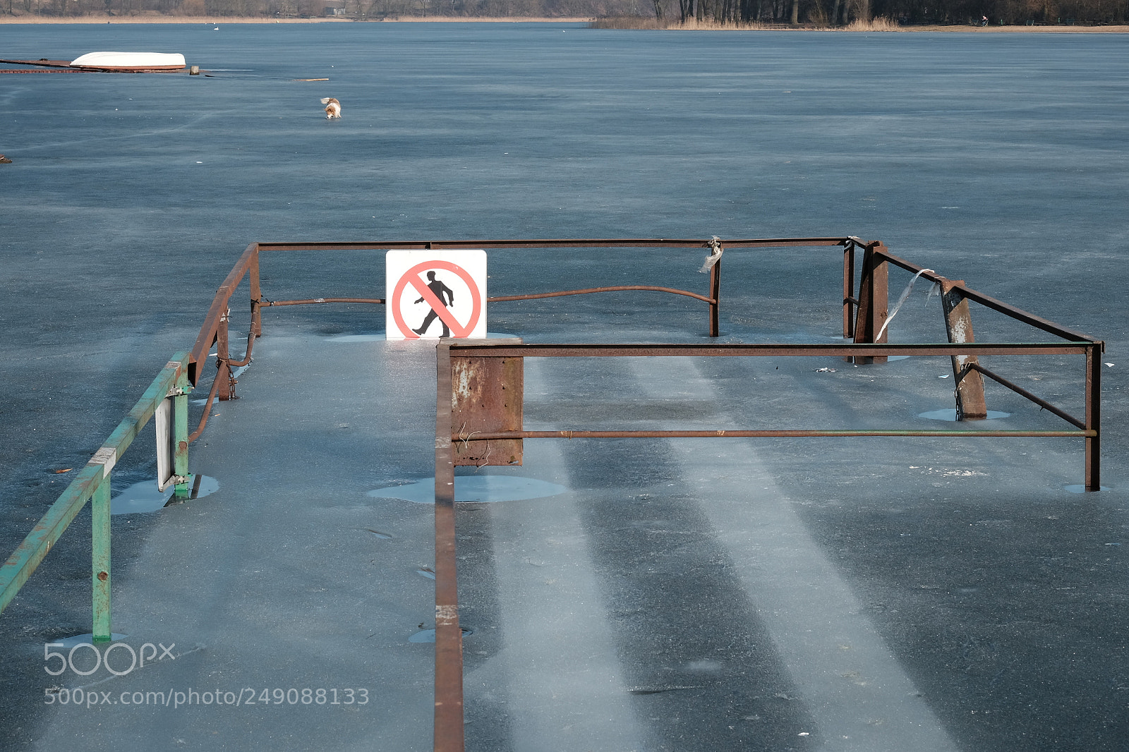 Fujifilm X-T10 sample photo. Frozen photography