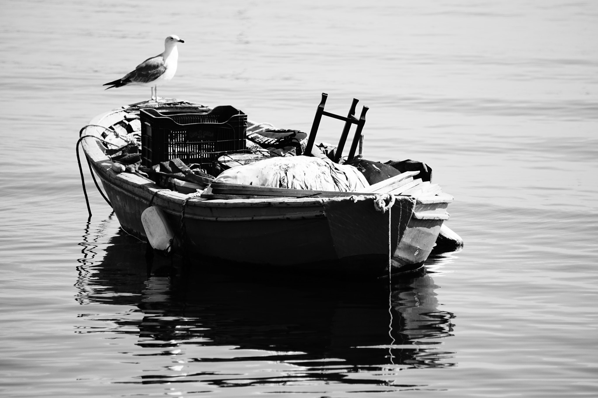 Sony E 55-210mm F4.5-6.3 OSS sample photo. Seagull & fishing boat photography