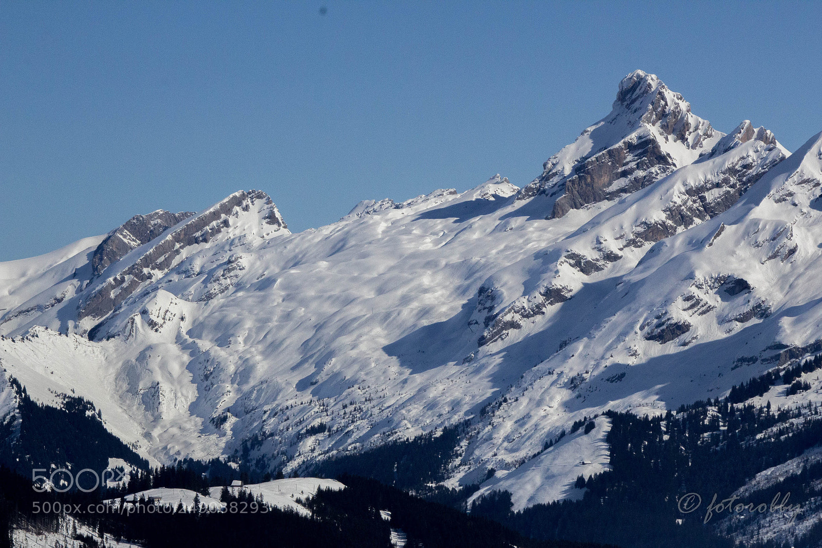 Canon EOS 600D (Rebel EOS T3i / EOS Kiss X5) sample photo. Golden snow photography