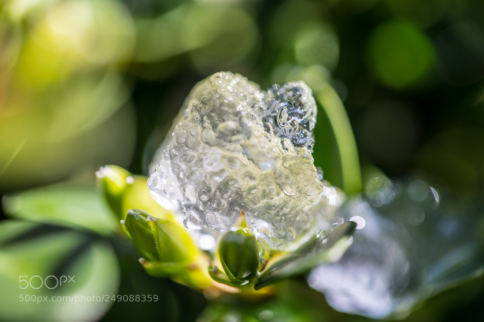 Canon EOS 5D Mark IV sample photo. Natural snowcone big photography