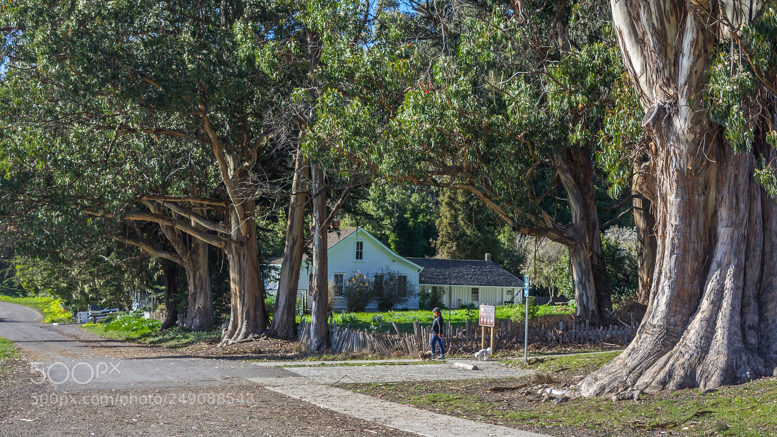 Nikon D7200 sample photo. Ranch-era call family residence photography
