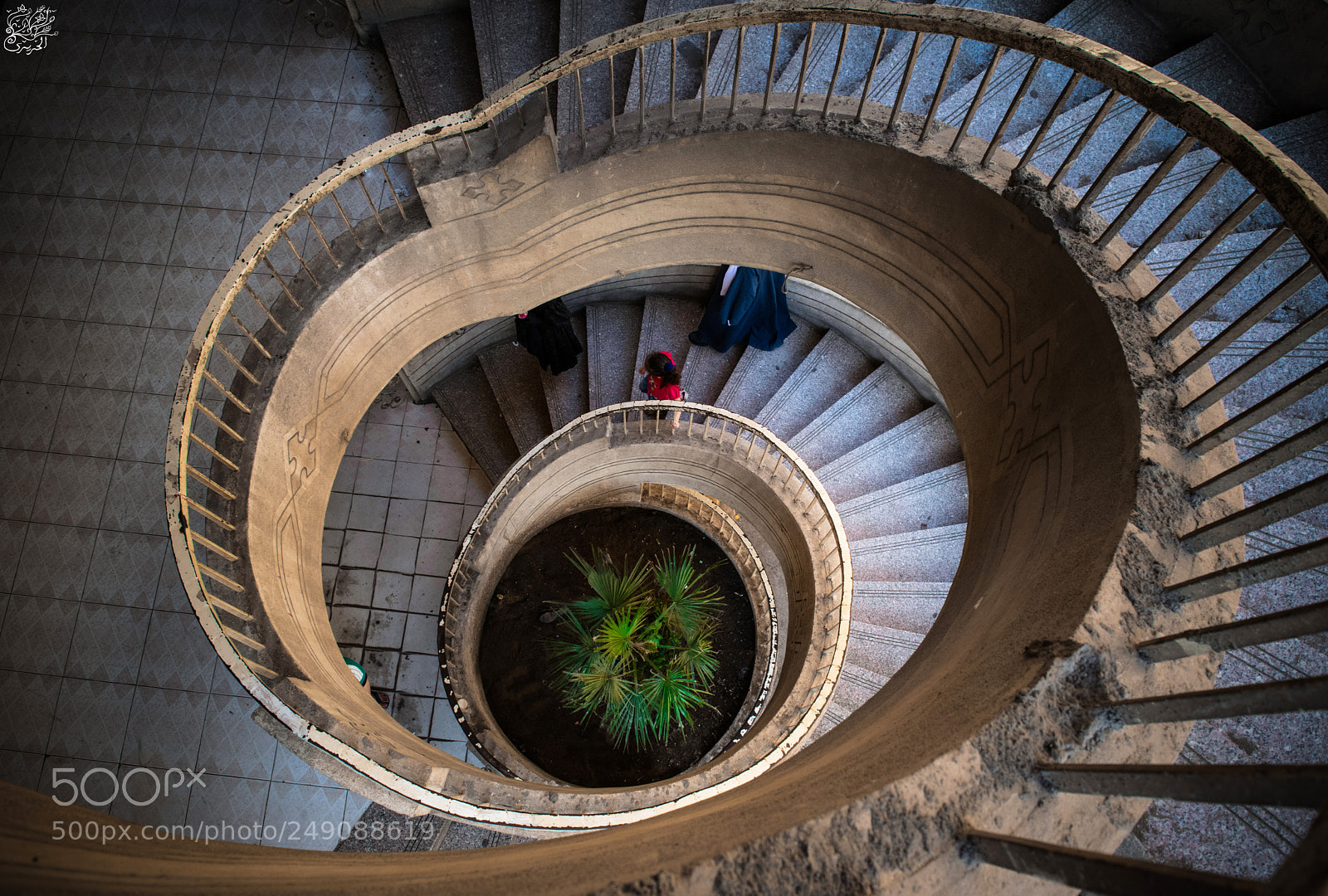 Nikon D5300 sample photo. Round and round photography