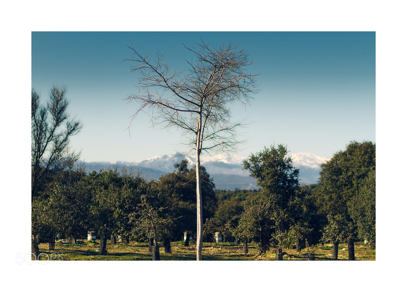 Canon EOS 7D sample photo. ...cumbres nevadas... photography