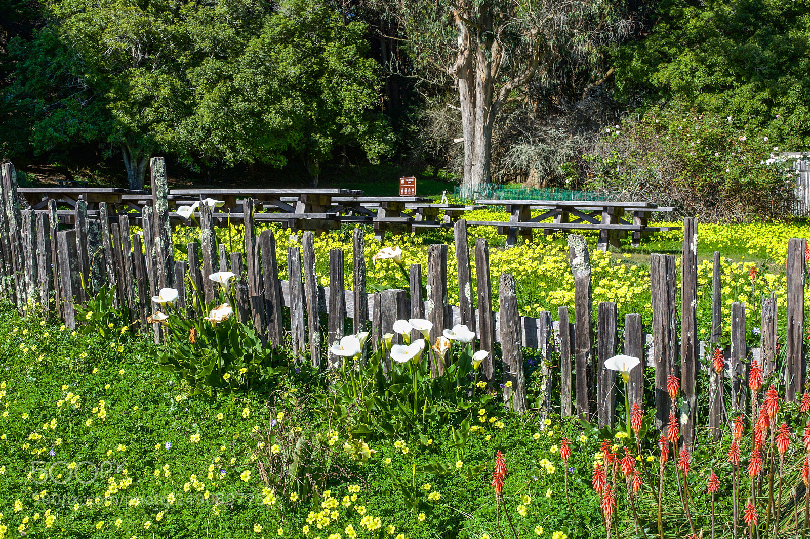 Nikon D7200 sample photo. Ranch-era call family residence photography
