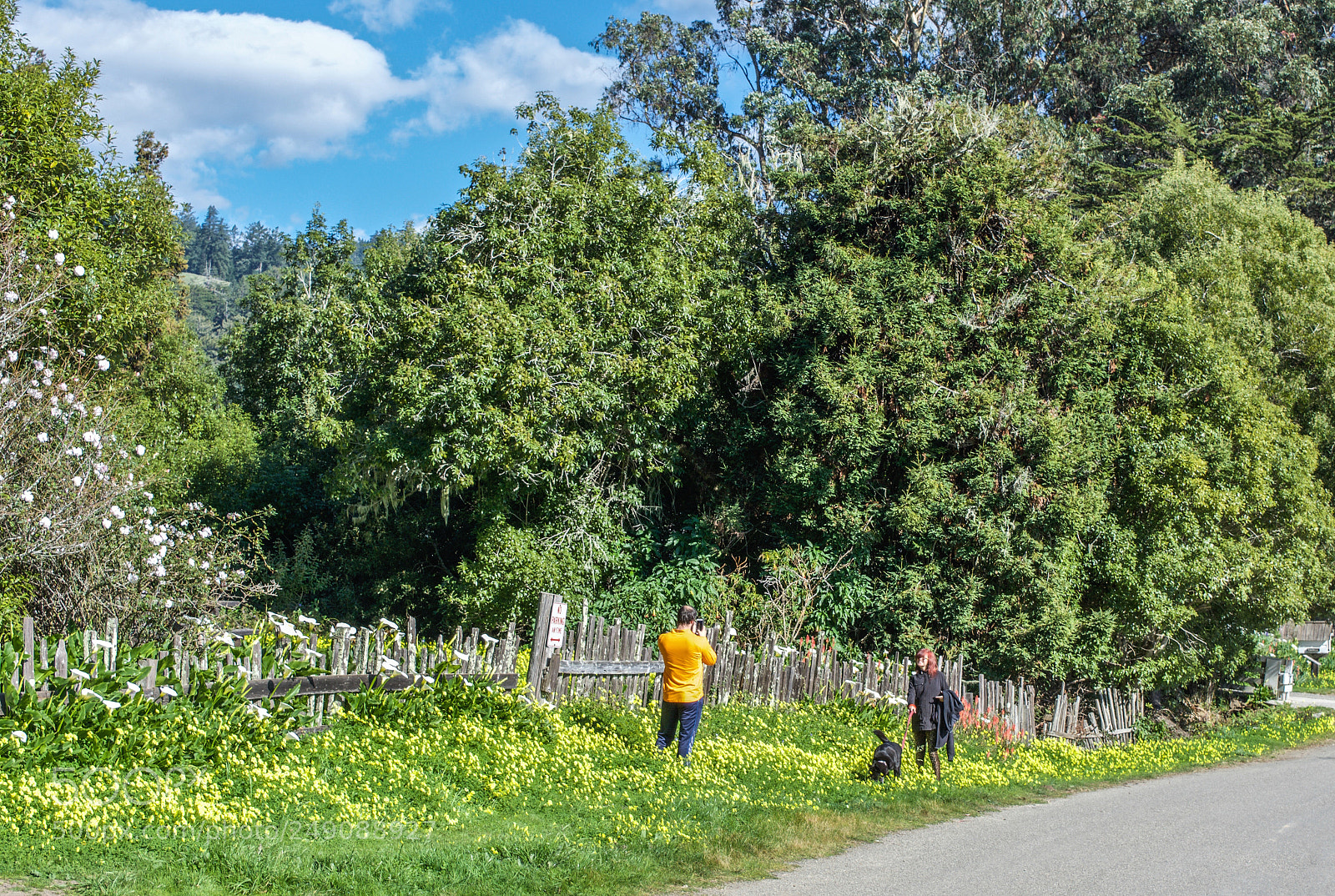 Nikon D7200 sample photo. Ranch-era call family residence photography