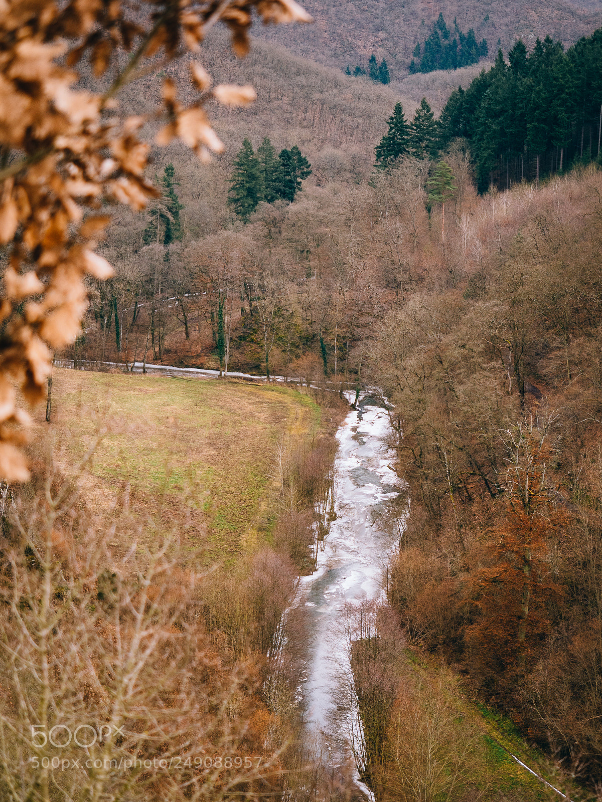 Olympus OM-D E-M1 sample photo. Frozen eltz photography
