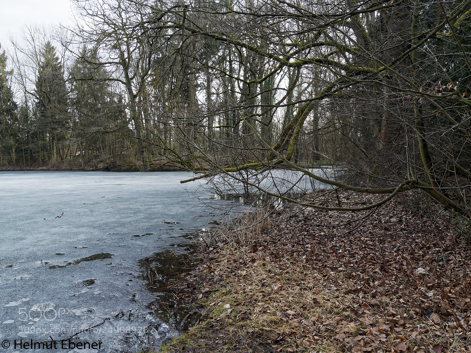 Olympus OM-D E-M5 sample photo. Sz-ringelheim, natur im schlosspark photography