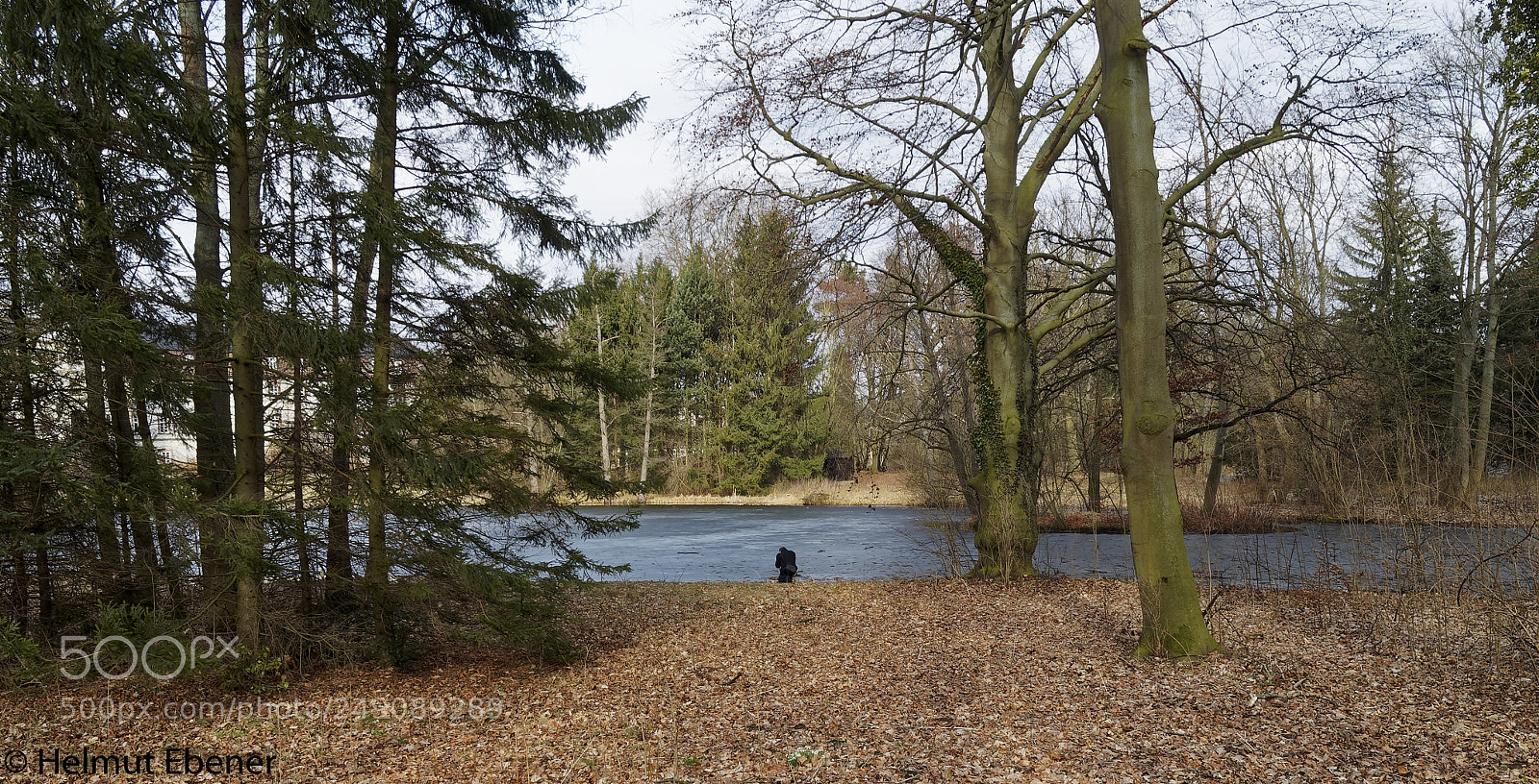 Olympus OM-D E-M5 sample photo. Sz-ringelheim, natur im schlosspark photography