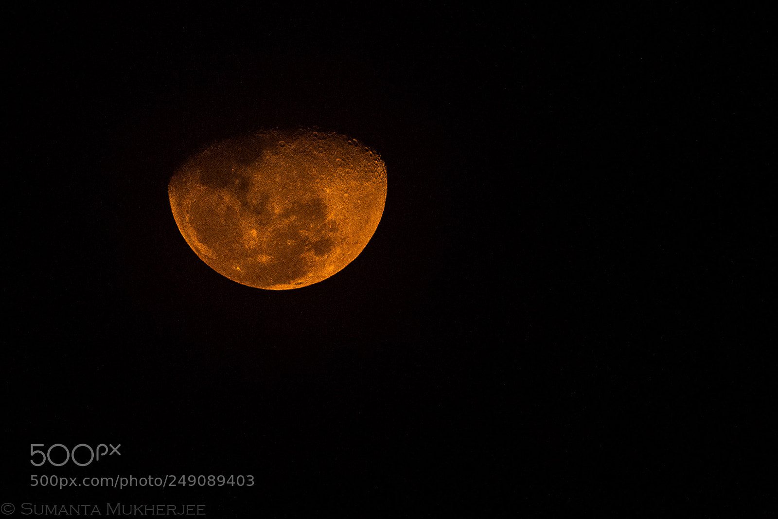 Nikon D810 sample photo. Untitled photography