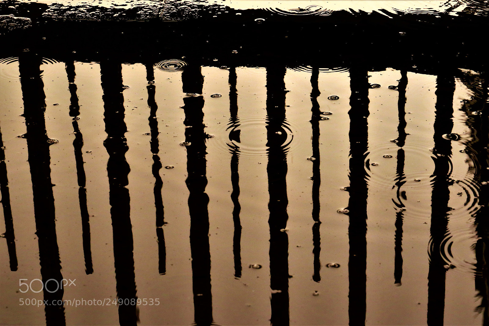 Canon EOS 7D Mark II sample photo. Golden gate photography