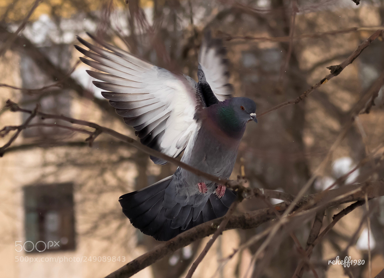 Canon EOS M6 sample photo. Touch-down photography