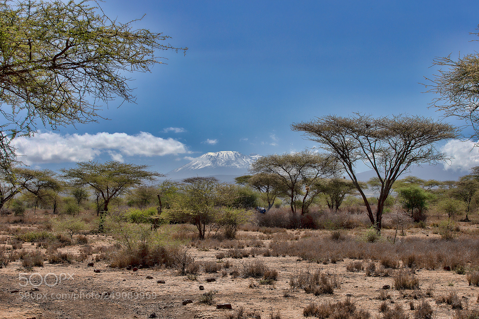 Canon EOS-1D X sample photo. West kilimanjaro photography
