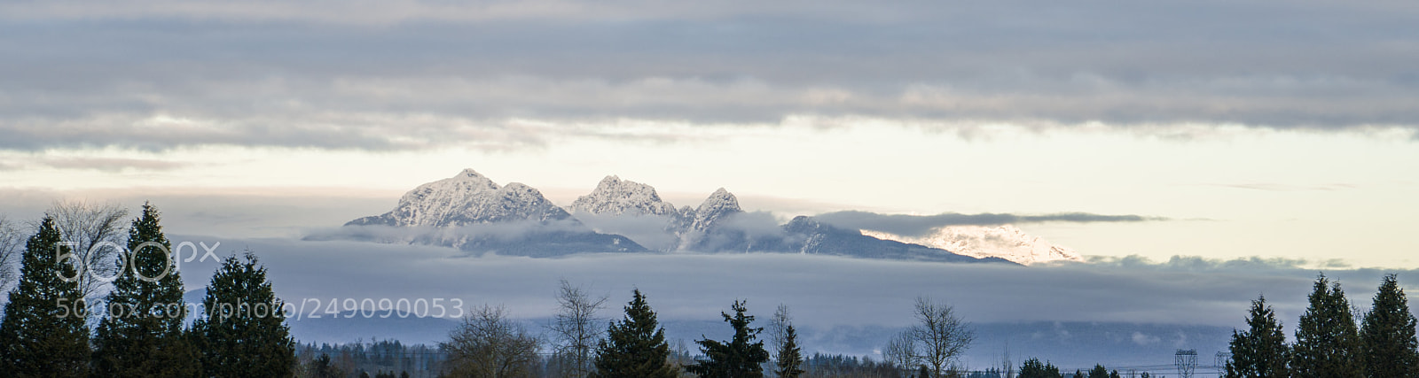 Sony a7R II sample photo. Dsc photography