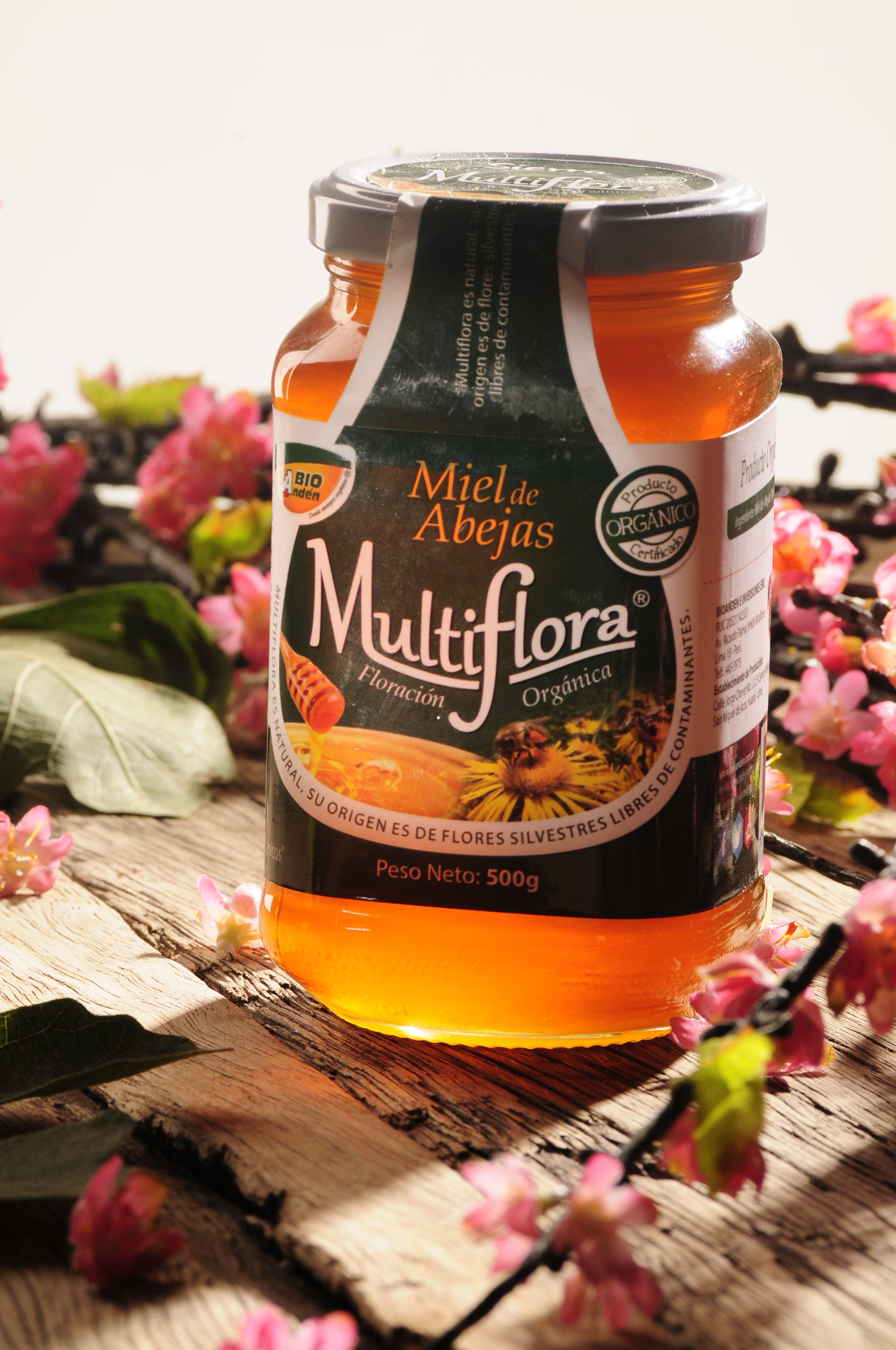 Nikon D300S sample photo. Honey bee photography