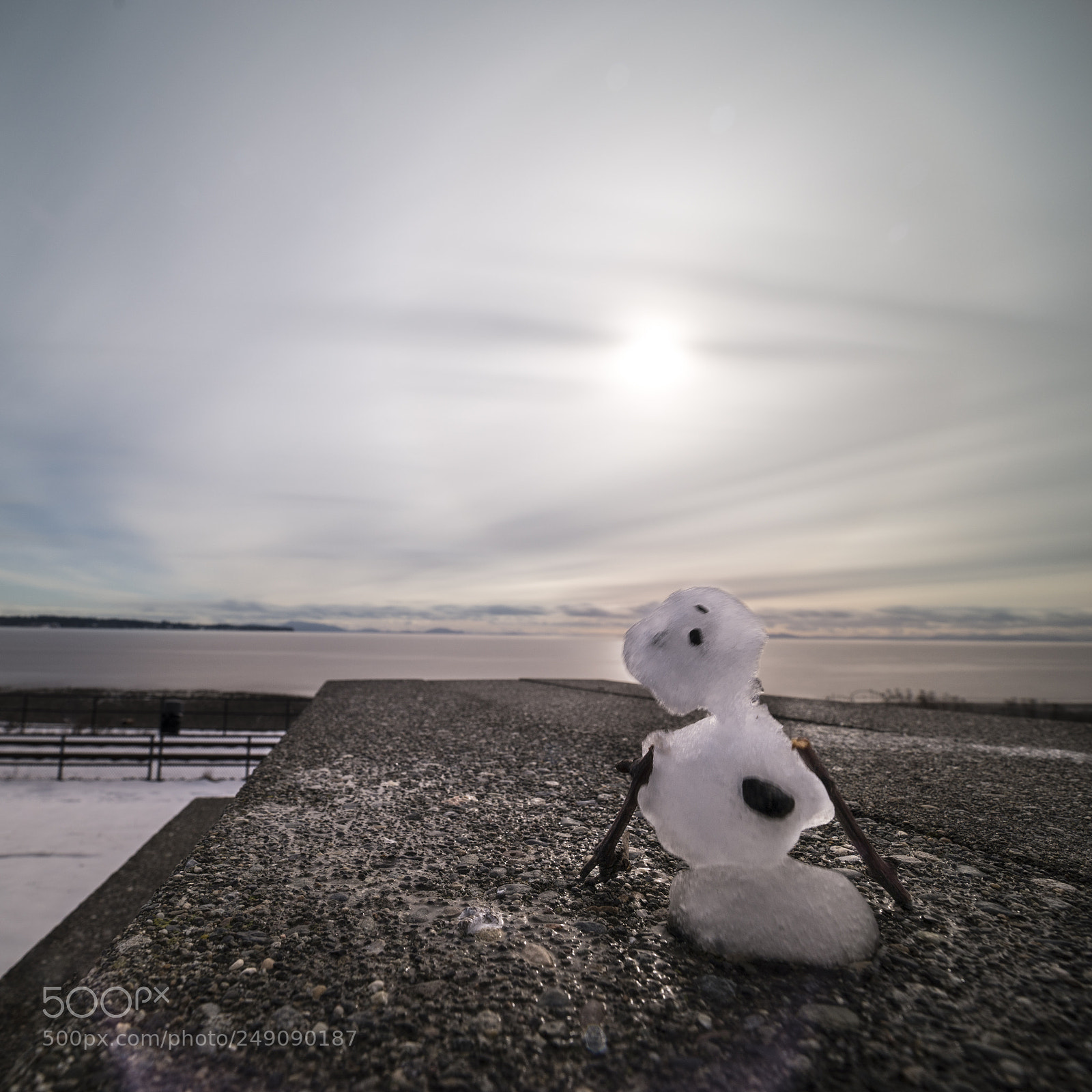 Sony a7R III sample photo. The melting snowman of photography