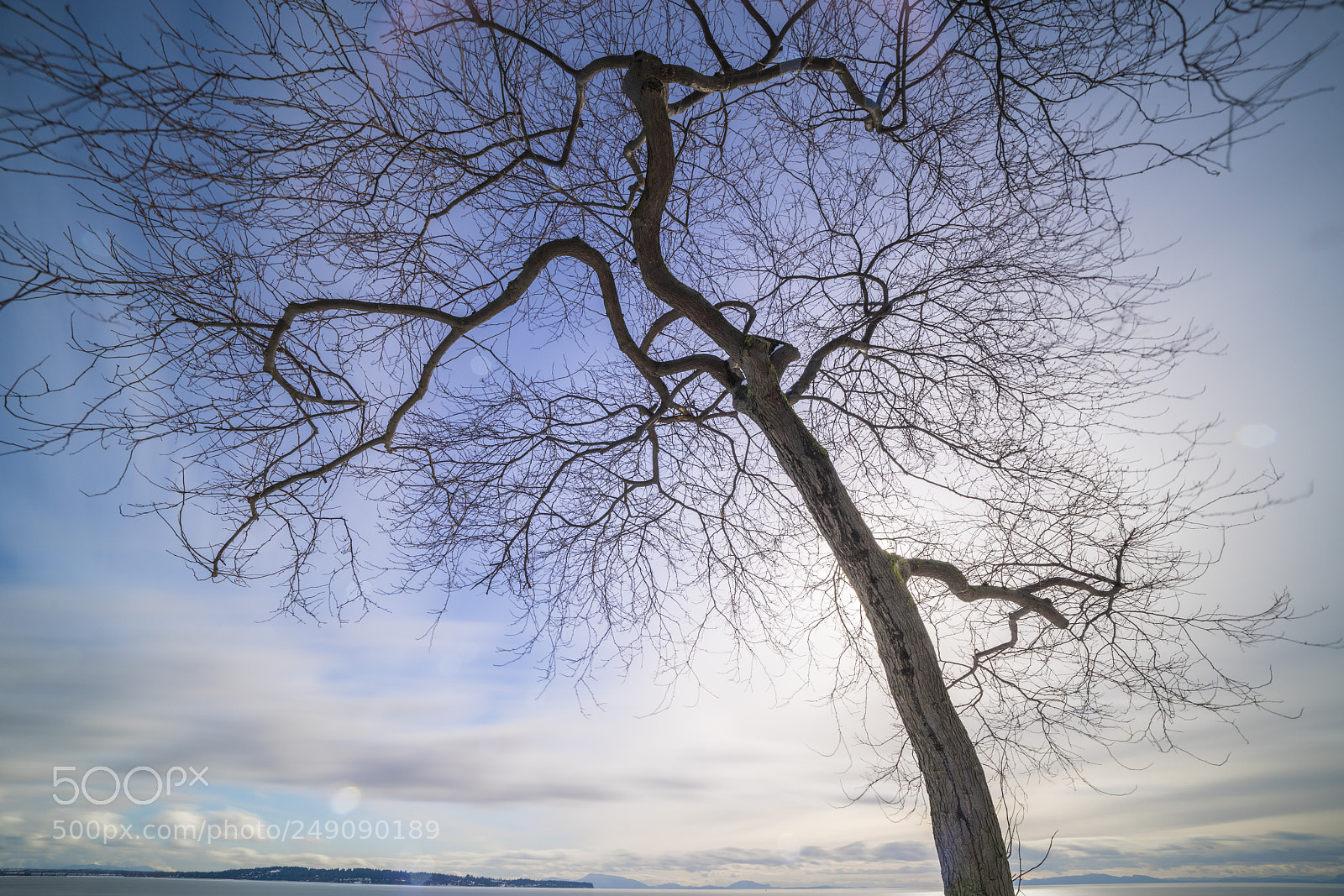 Sony a7R III sample photo. Arteries of the sky photography