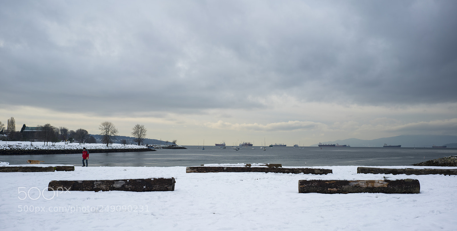 Sony a7R III sample photo. Dsc photography