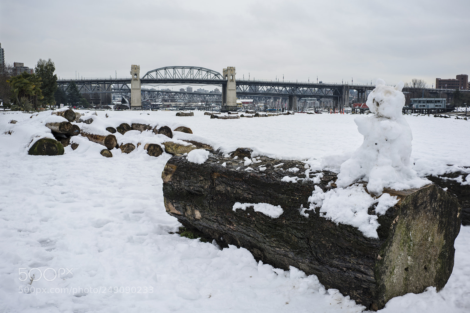 Sony a7R III sample photo. Snowman at english bay photography