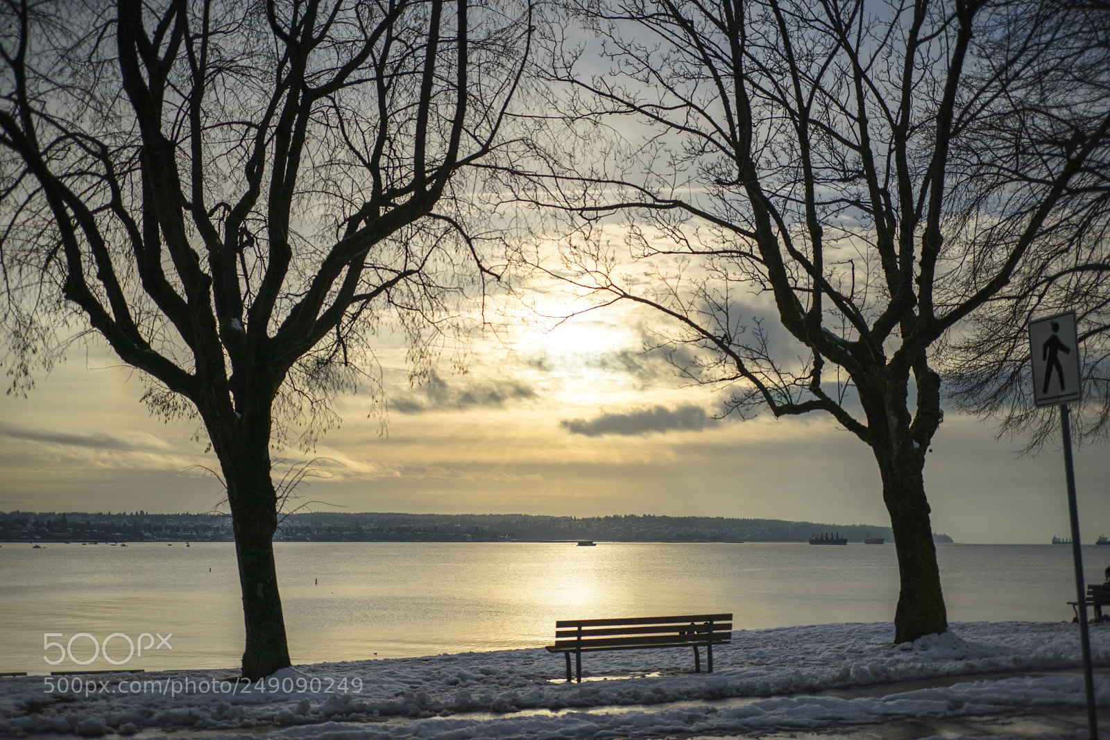 Sony a7R III sample photo. Watching the sunset at photography
