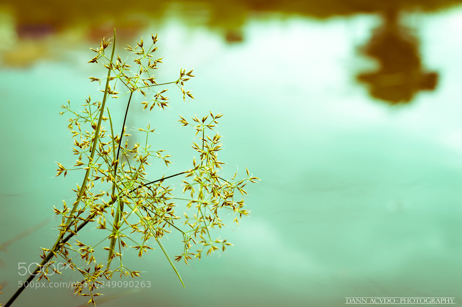 Nikon D3200 sample photo. Nature 2! photography