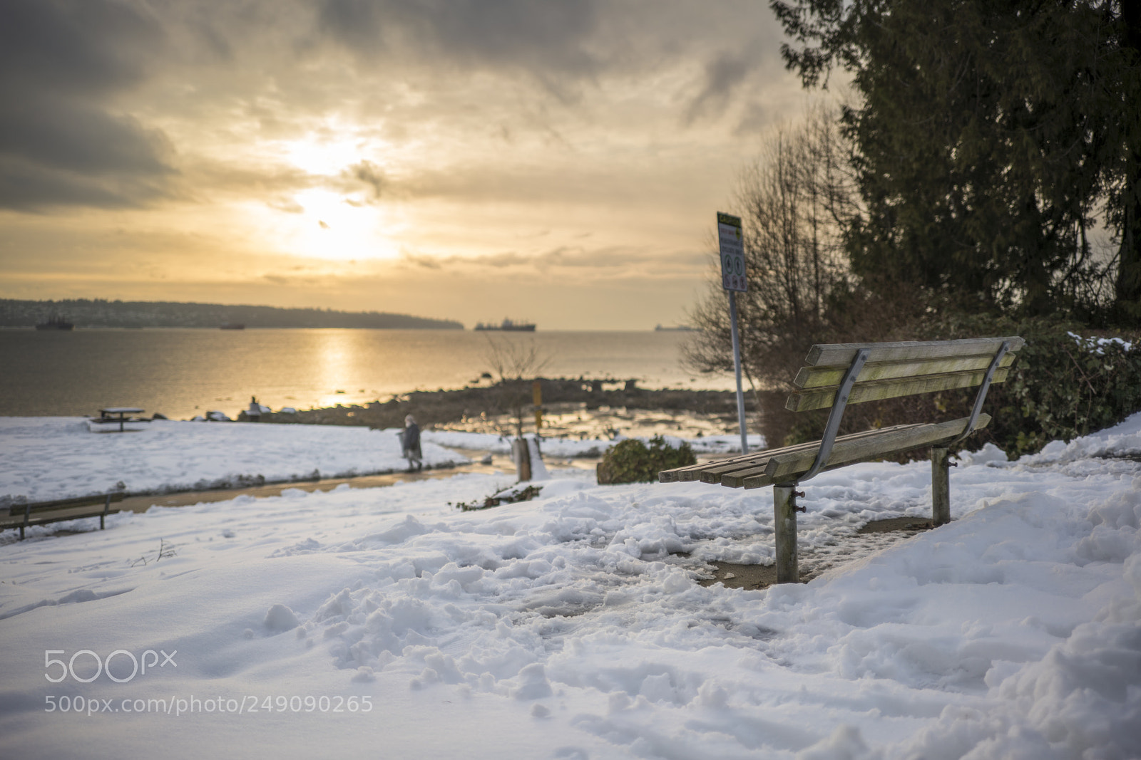 Sony a7R III sample photo. Sunset at the bench photography