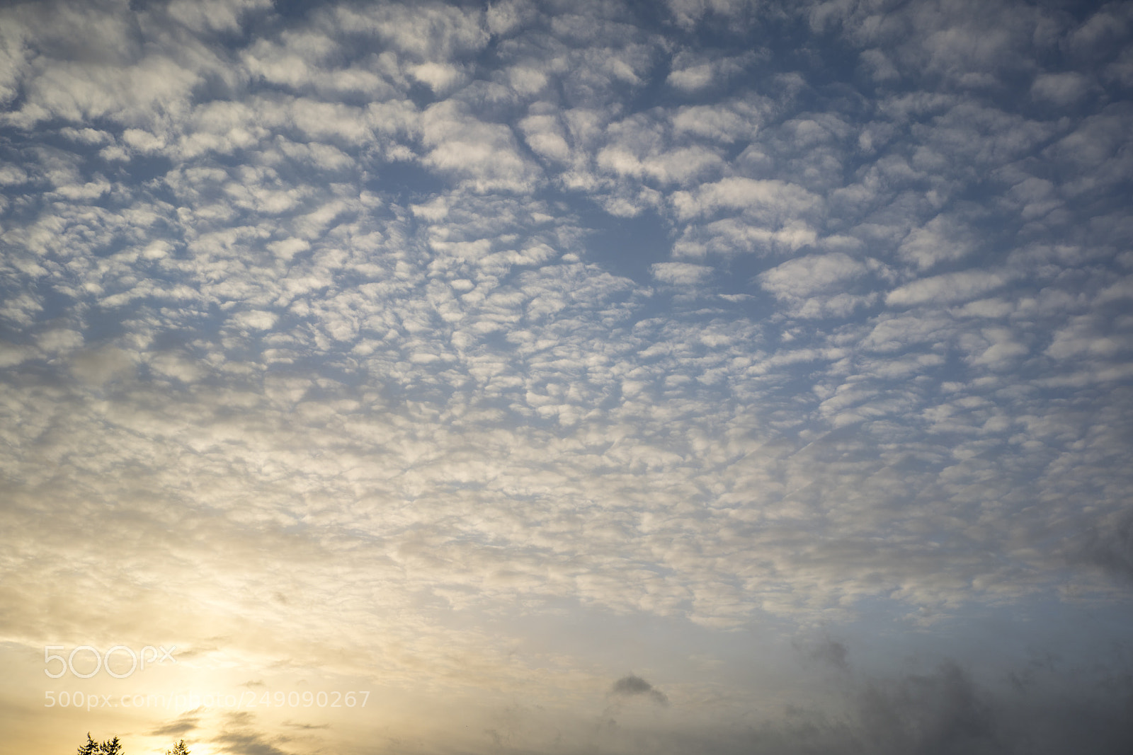 Sony a7R III sample photo. Clouds in the sky. photography