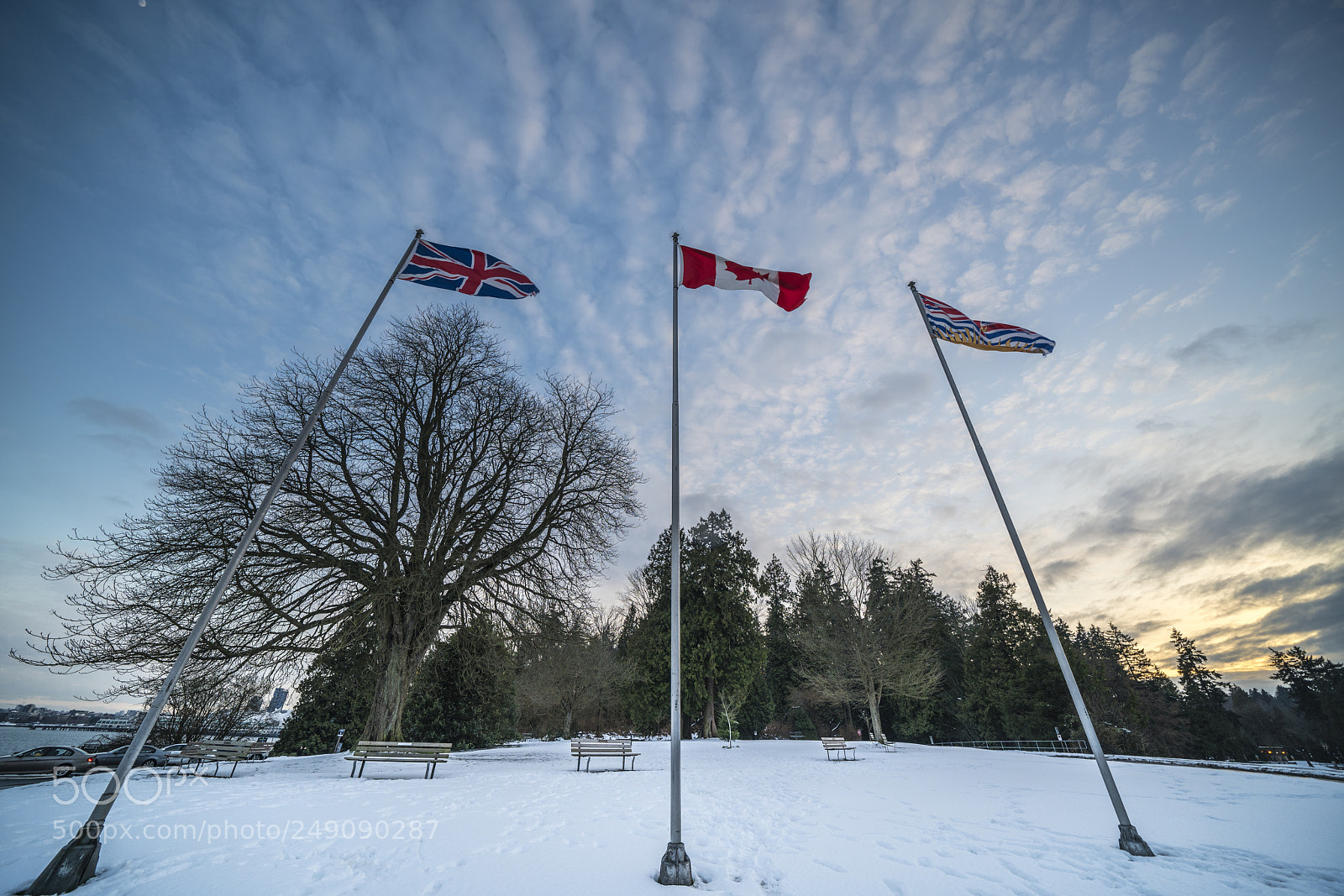 Sony a7R III sample photo. Canadian flag flying high. photography