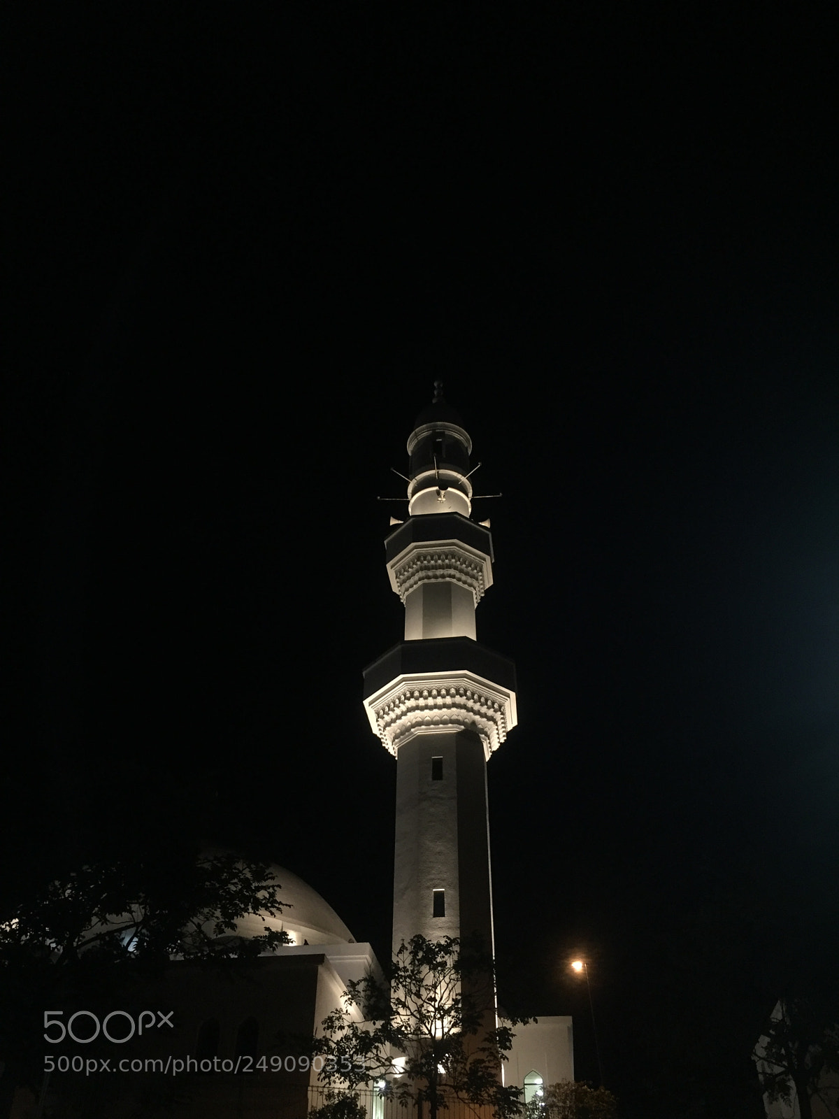 Apple iPhone 6 Plus sample photo. #shotoniphone6plus  photography