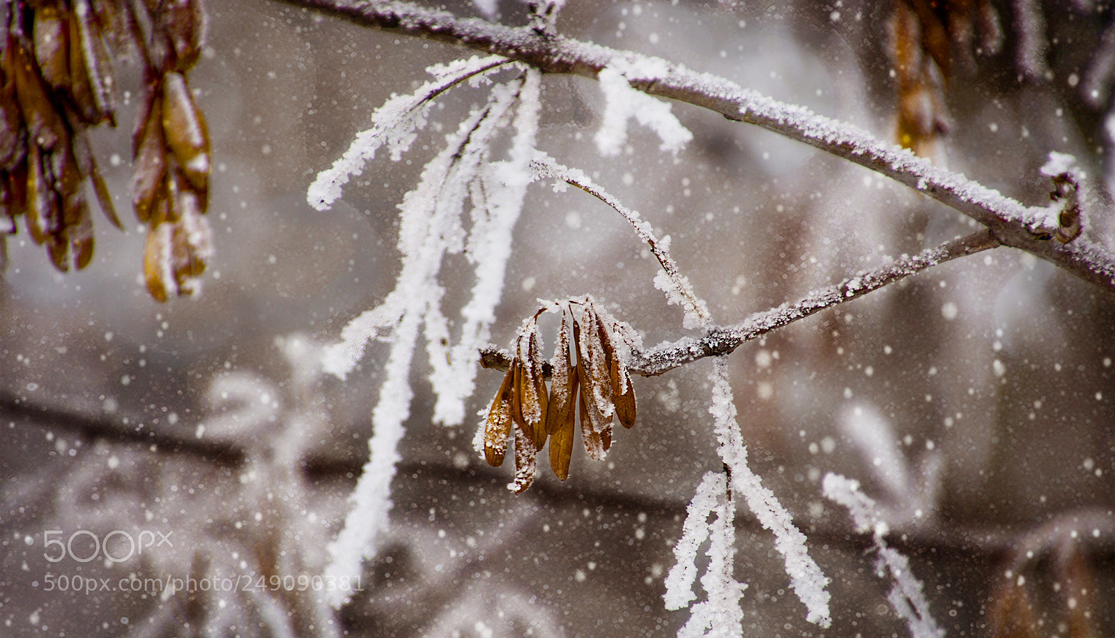 Nikon D7000 sample photo. Этюд. photography