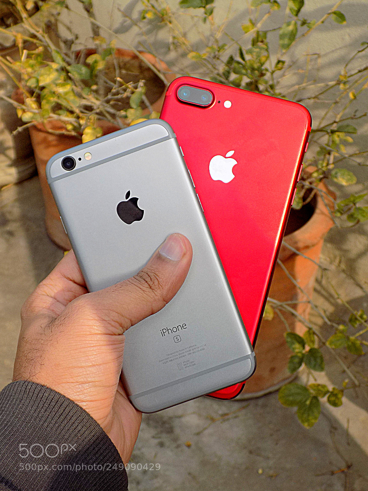 Nikon COOLPIX L330 sample photo. 6s vs 7 plus photography
