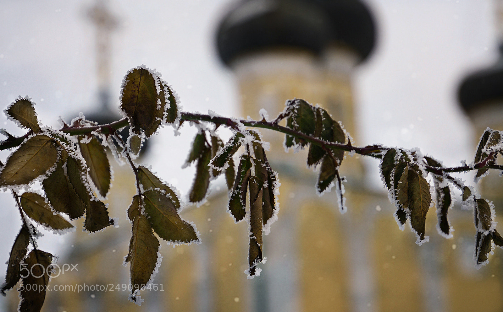 Nikon D7000 sample photo. Этюд. photography