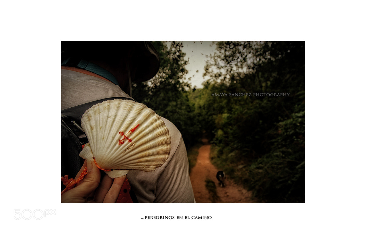 Nikon D3200 sample photo. "peregrinos en el camino.." photography