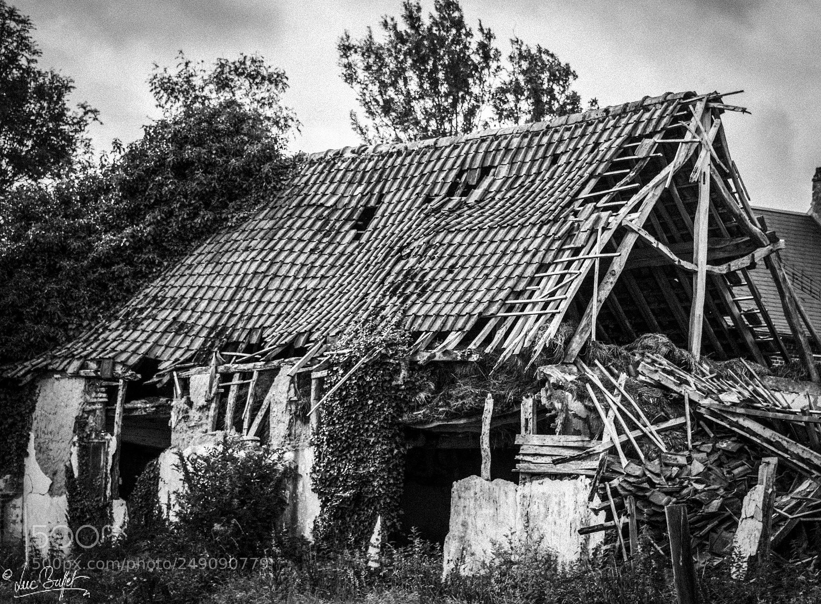 Nikon D800 sample photo. Old farm photography