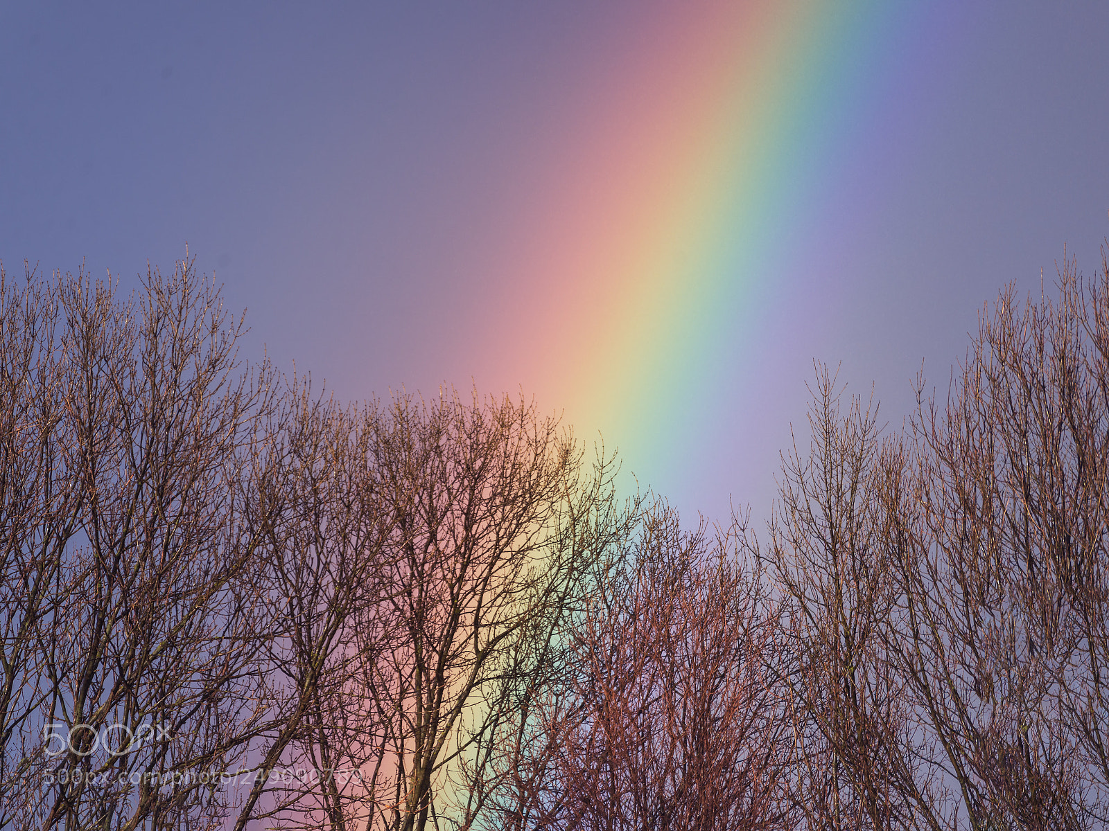 Nikon D610 sample photo. Rainbow photography