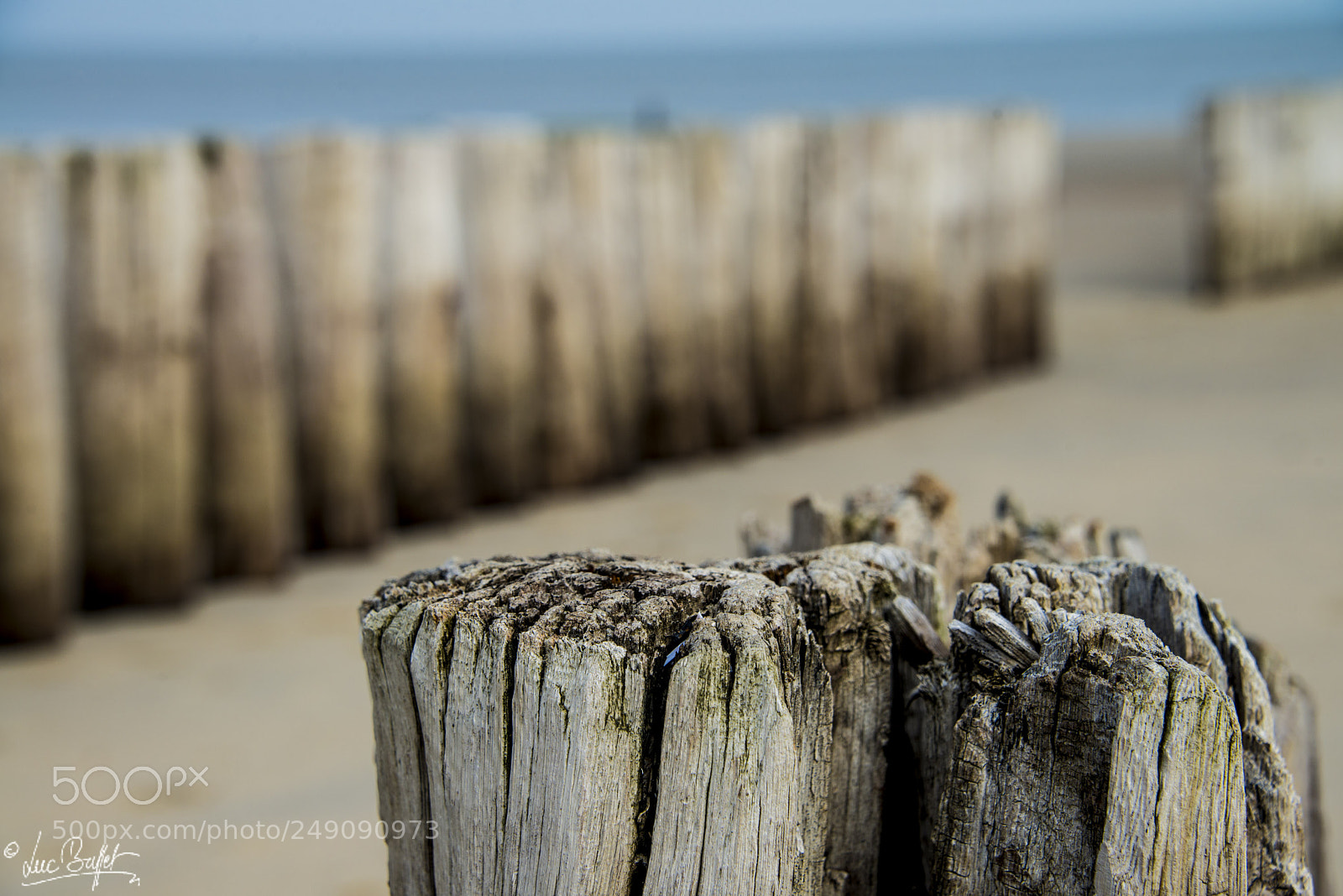 Nikon D800 sample photo. Beach photography