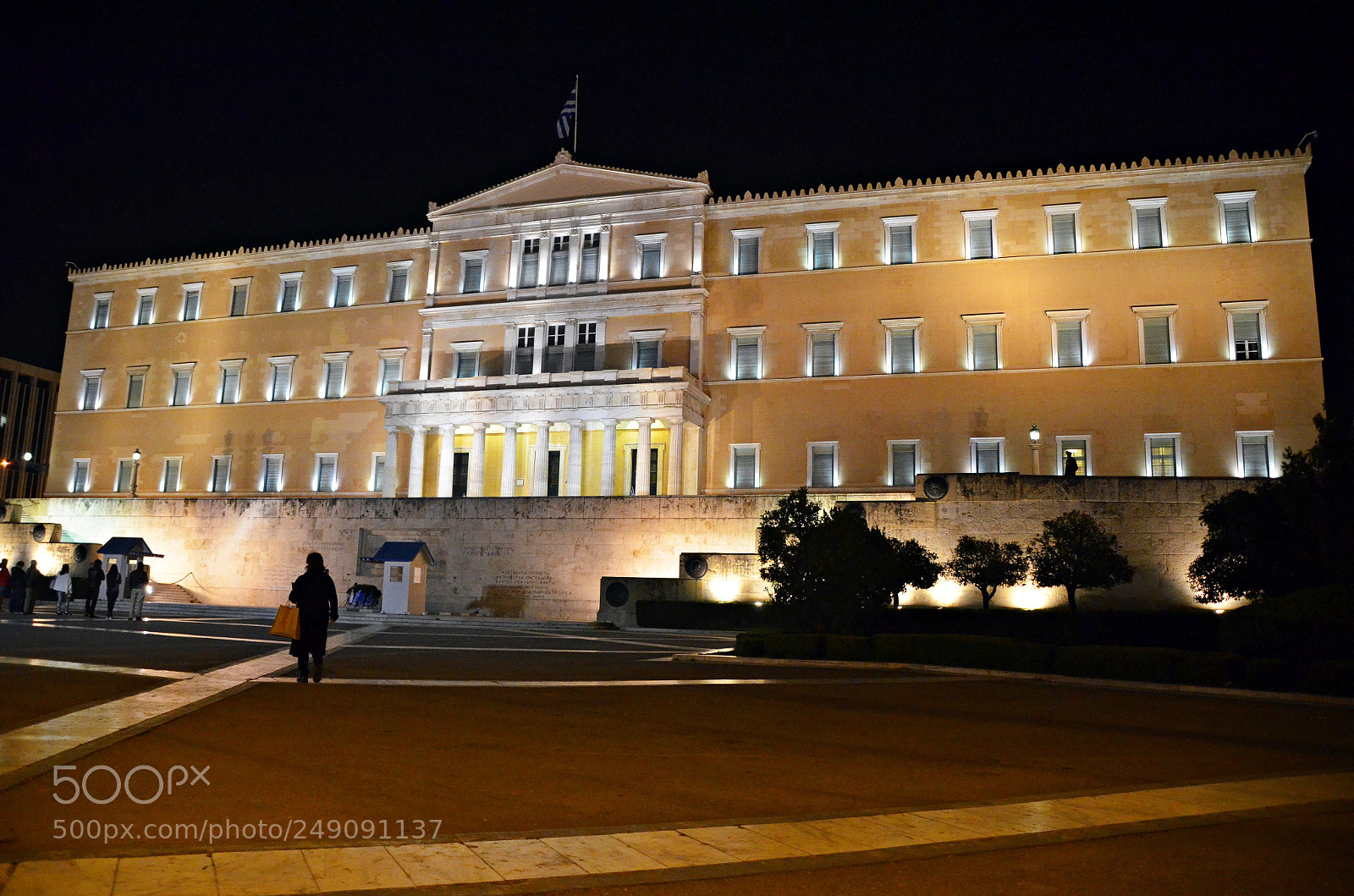 Nikon D5100 sample photo. Hellenic parliament photography