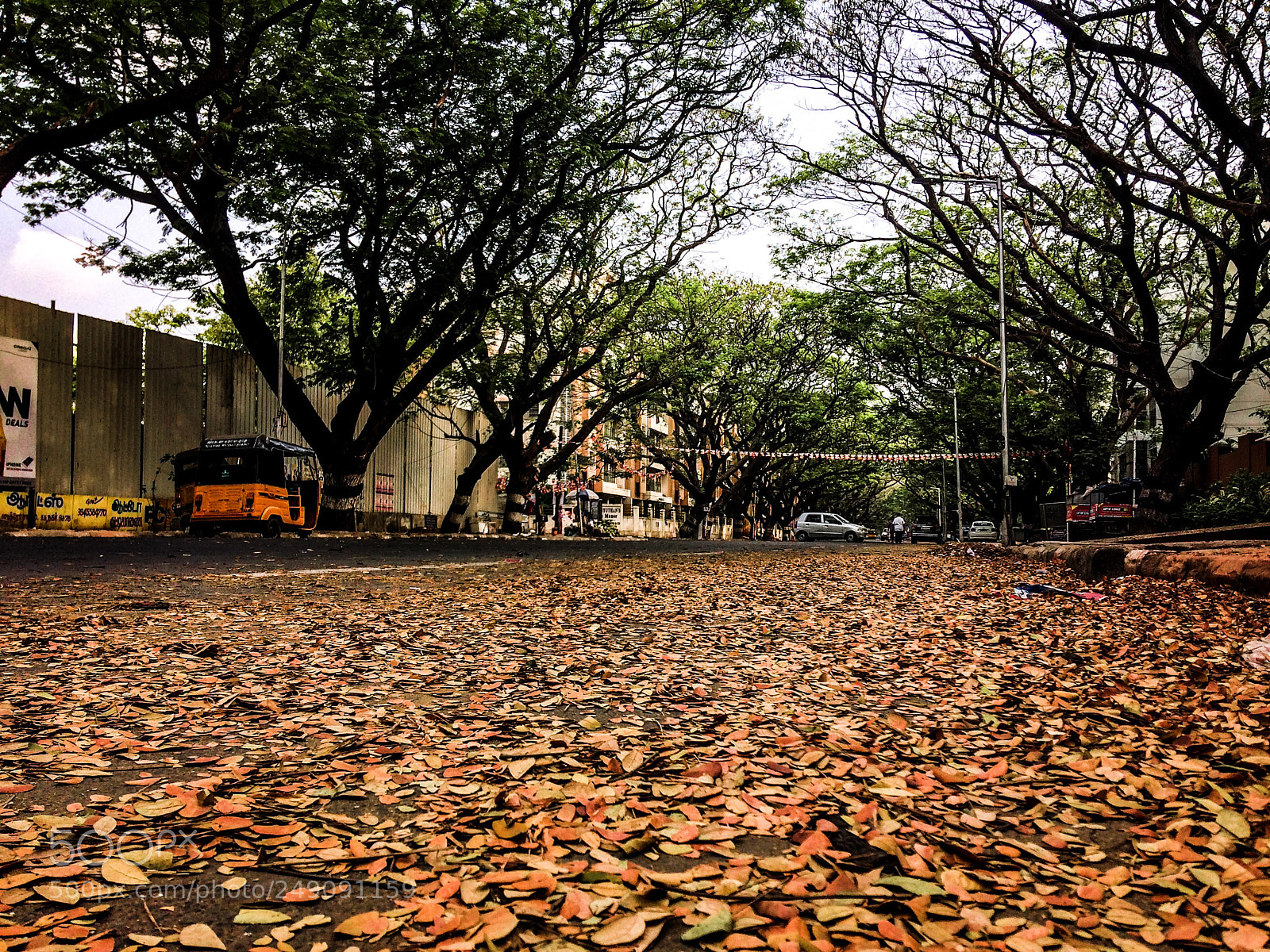 Apple iPhone 5s sample photo. Kamarajar salai....thiruvanmiyur? photography