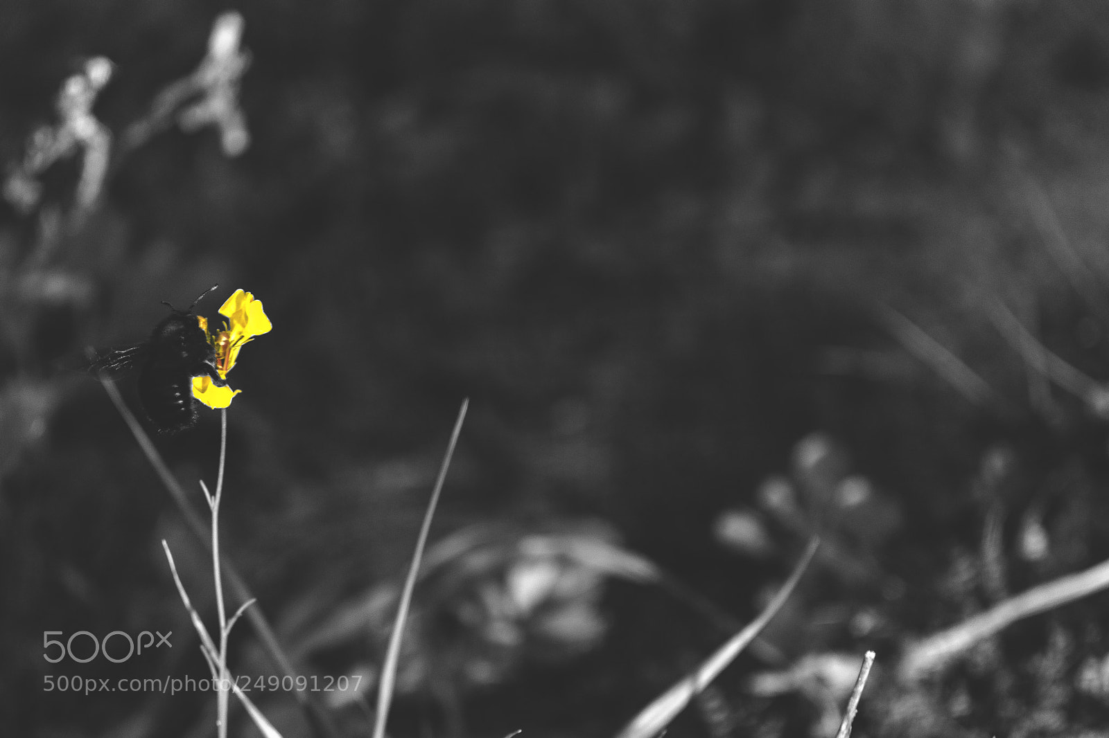 Nikon D5300 sample photo. Untitled photography