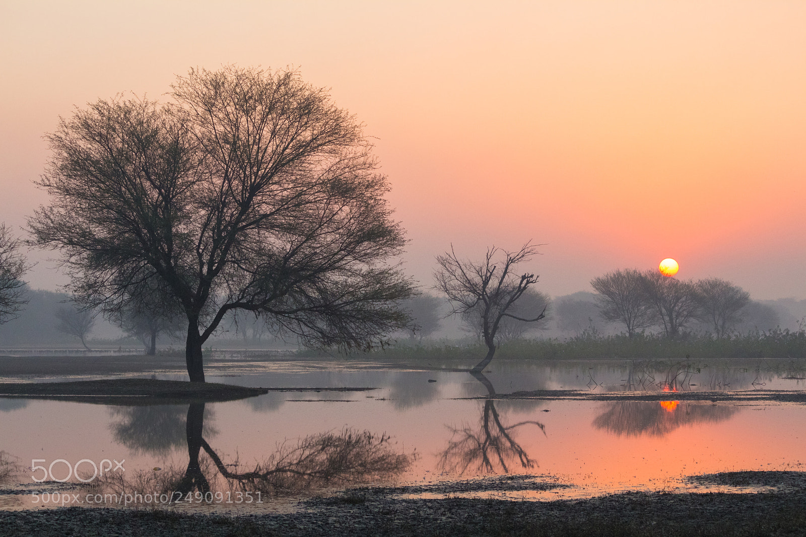 Canon EOS 700D (EOS Rebel T5i / EOS Kiss X7i) sample photo. Sunrise photography