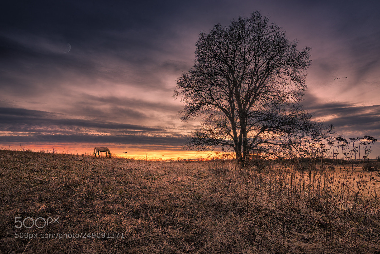 Nikon D810 sample photo. Zauber der stille photography