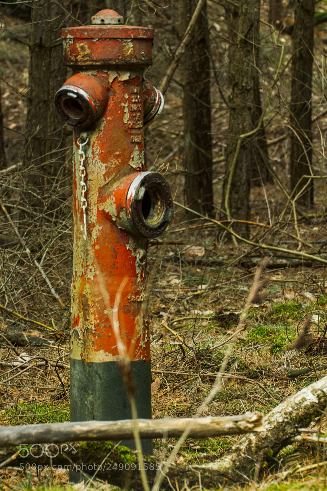 Canon EOS 50D sample photo. Ein m nnlein steht photography