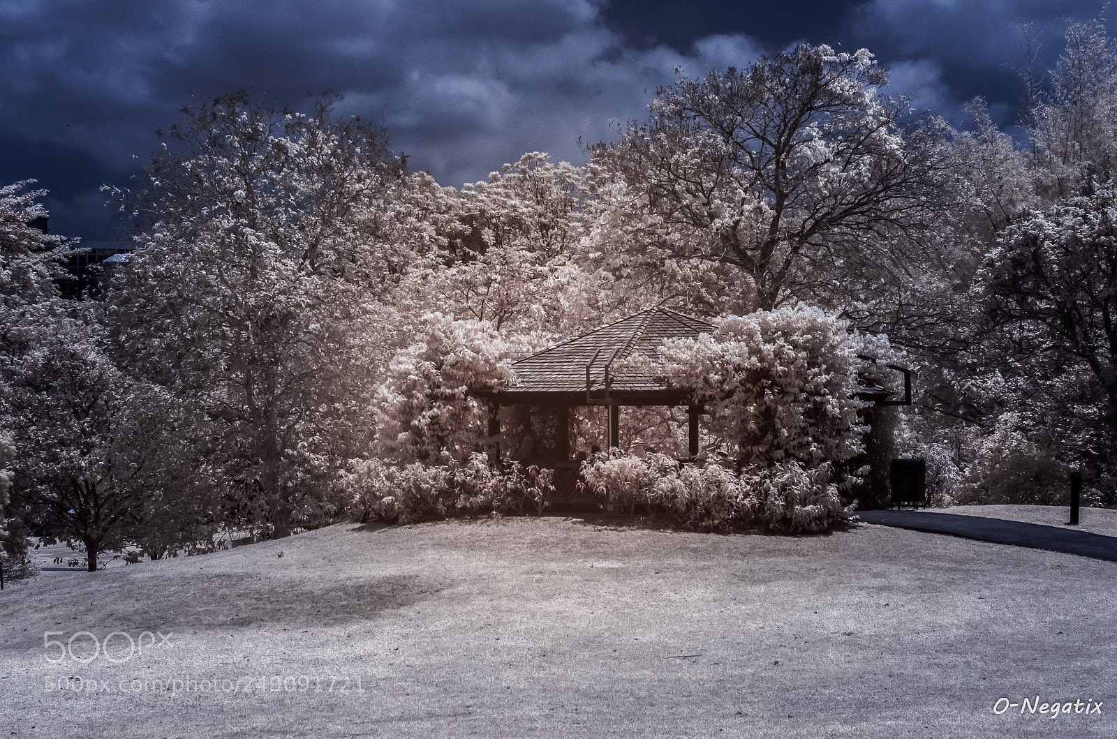 Nikon D7000 sample photo. Ir - singapore botanic photography