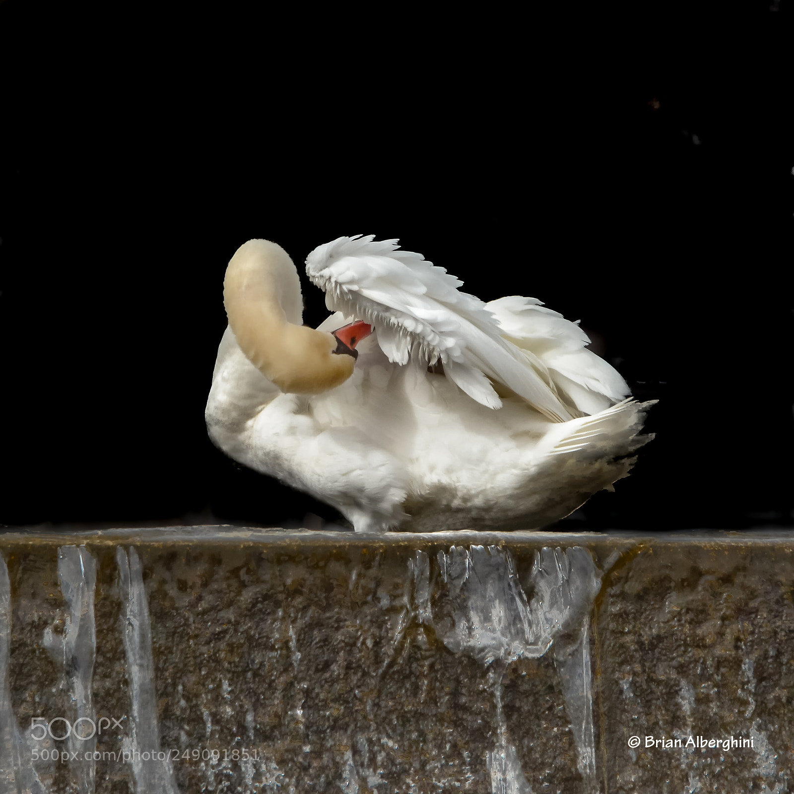 Nikon D7100 sample photo. That smell! photography