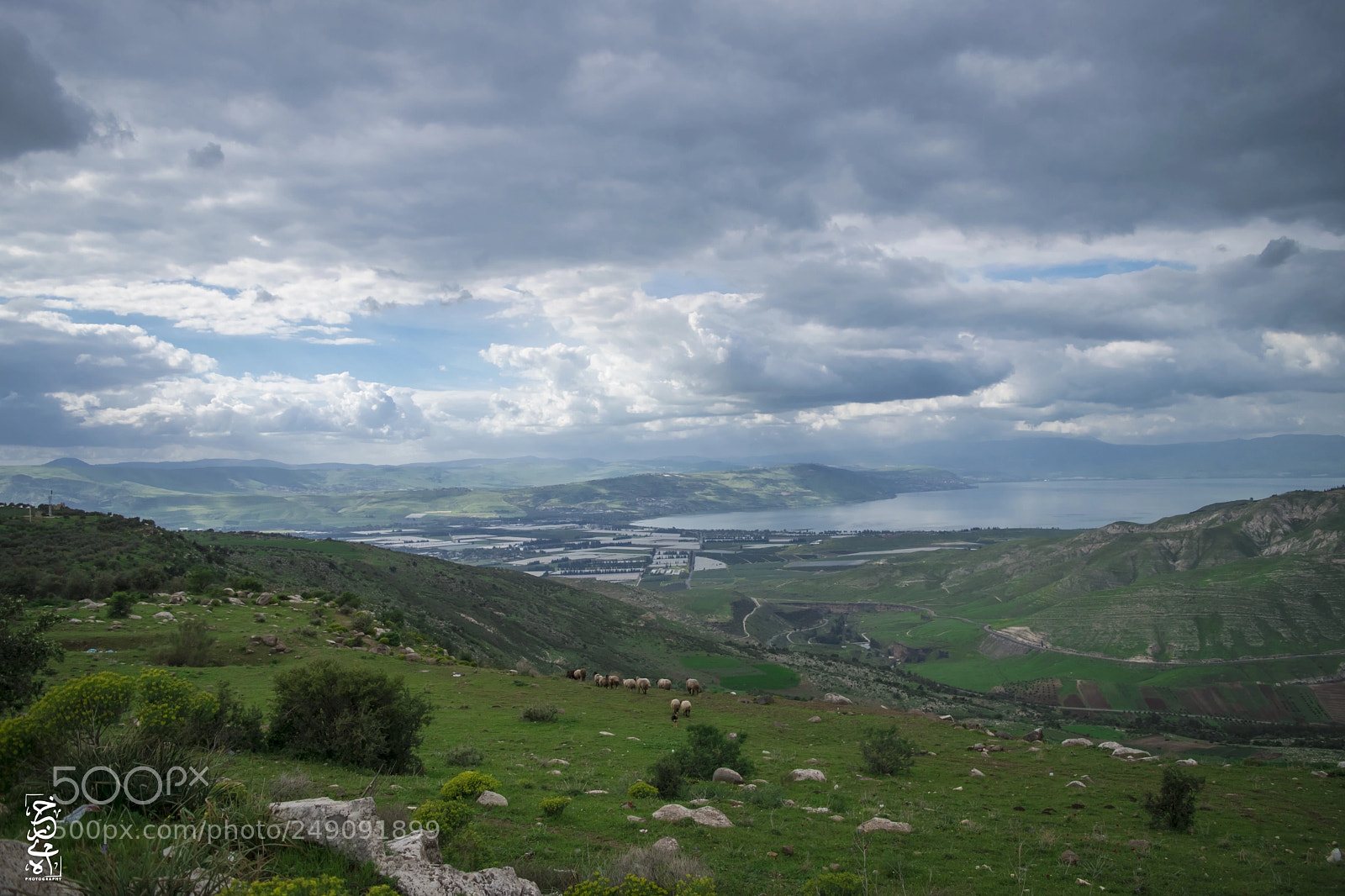 Nikon D5500 sample photo. Sea of galilee from photography