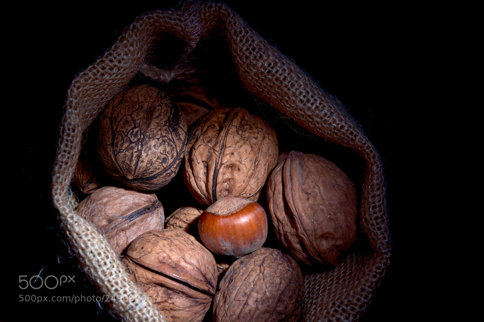 Fujifilm X-T1 sample photo. Nut photography